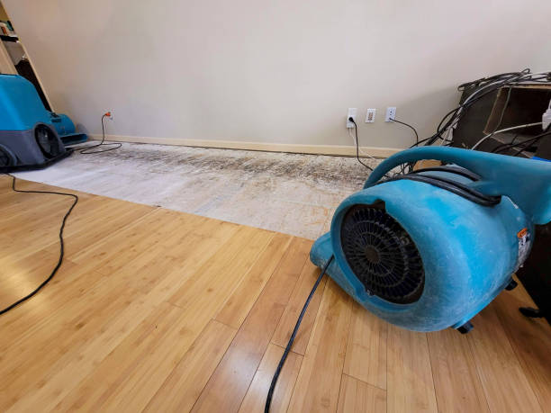 Professional Water Removal technician working in Olive Branch, MS